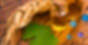 How does Ginseng influence the Skin microbiome?