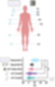How Much do we truly know about the oral microbiomea (2).